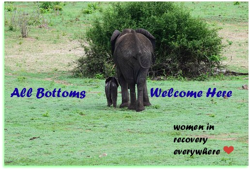 elephant bottoms